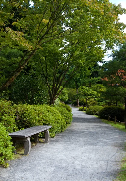 Banco solitário no beco no jardim japonês — Fotografia de Stock