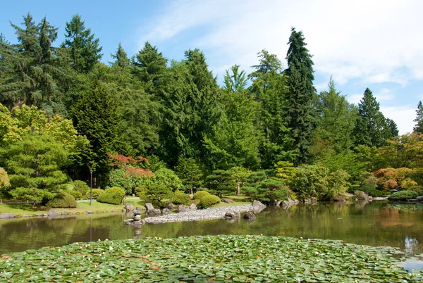 Japonské zahradní krajina s rybníkem — Stock fotografie