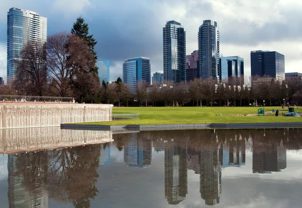 Stadtpark von Bellevue — Stockfoto