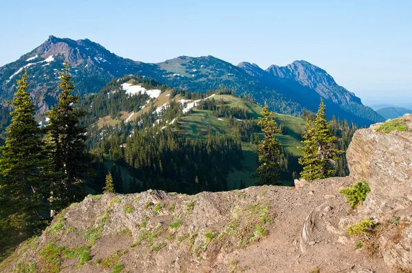 Sommaren utsikt över bergen från en vandringsled på hurricane ridge — Stockfoto