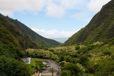 IAO Vadisi