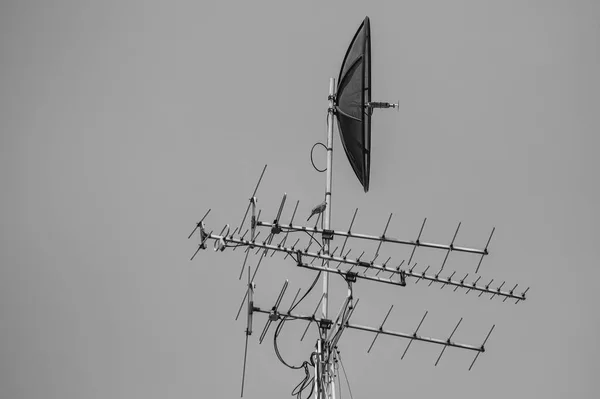 Signaaltorens Lichtpaal Zijn Zwart Wit Stockfoto
