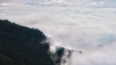 The fog floats on the mountain in the rainy season