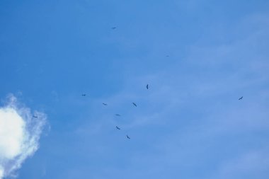 Beauty white clouds with blue sky background 