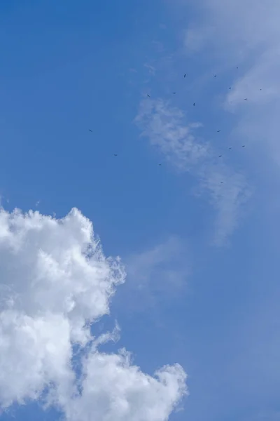 Beauty White Clouds Blue Sky Background — Zdjęcie stockowe
