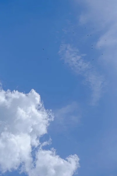 Beauty White Clouds Blue Sky Background — Zdjęcie stockowe