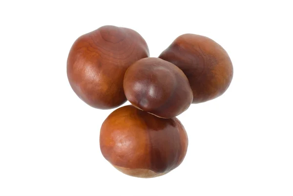 A group of four chestnuts — Stock Photo, Image