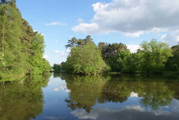 Bomen en hemel weerspiegeld in de vijver. — Stockfoto