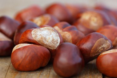 kazık kashtanovna ahşap zemin.