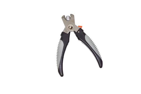 Clippers pençeleri.