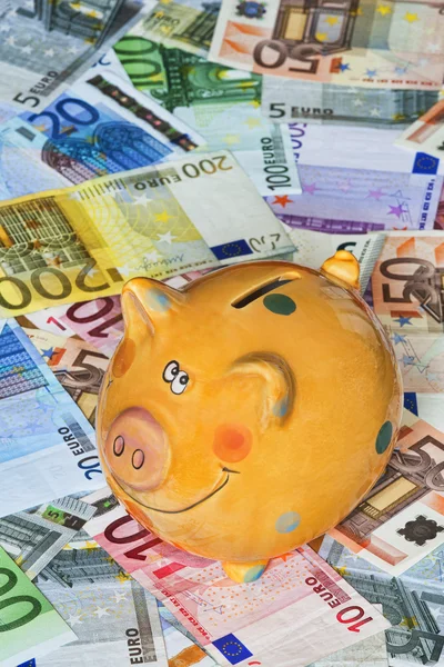 Euro Bank notes with a piggy bank illustrating success — Stok fotoğraf