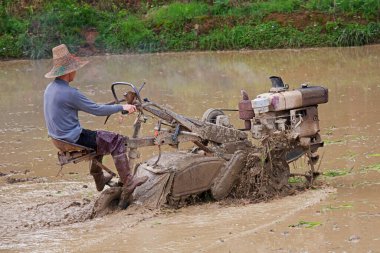 Çinli çiftçi, Çin 'in Guangxi Özerk Bölgesi' nin güneybatısındaki pirinç tarlasında motorlu saban ekmeye hazırlanıyor.