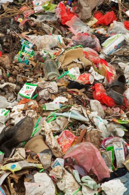 Çin 'in güneyindeki küçük bir köyün dışındaki çöplük.