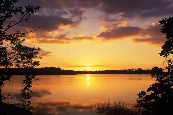 Piękny Zachód Słońca Nad Stawem Pouratis Parku Narodowym Everglades Floryda — Zdjęcie stockowe