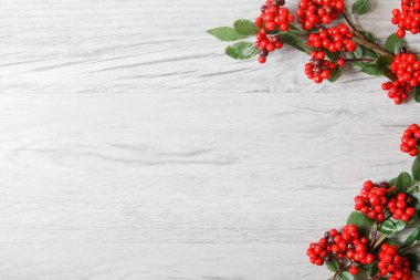 Kırmızı böğürtlen dalı ve kopyalama alanı olan bir Noel Düz Arkaplan