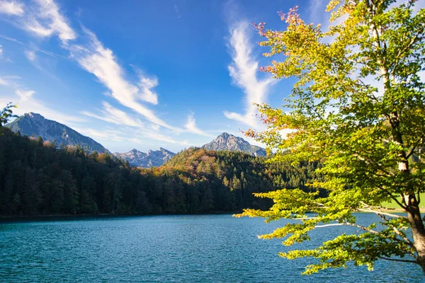 Gyönyörű Hegyi Tavak Alpokban Bajorországban Ausztriában — Stock Fotó