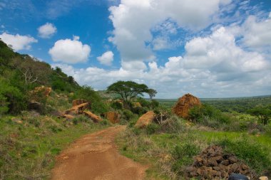 National Park Tsavo Doğu Tsavo West ve Amboseli 'nin manzara resimleri.