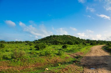 National Park Tsavo Doğu Tsavo West ve Amboseli 'nin manzara resimleri.