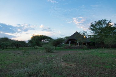 National Park Tsavo Doğu Tsavo West ve Amboseli 'nin manzara resimleri.