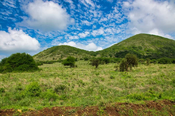 Photos Paysages Parc National Tsavo East Tsavo West Amboseli — Photo