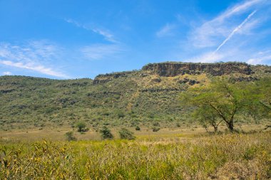 National Park Tsavo Doğu Tsavo West ve Amboseli 'nin manzara resimleri.