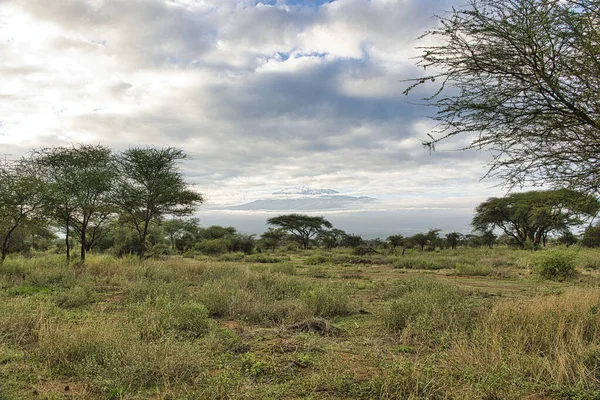 Photos Paysages Parc National Tsavo East Tsavo West Amboseli — Photo