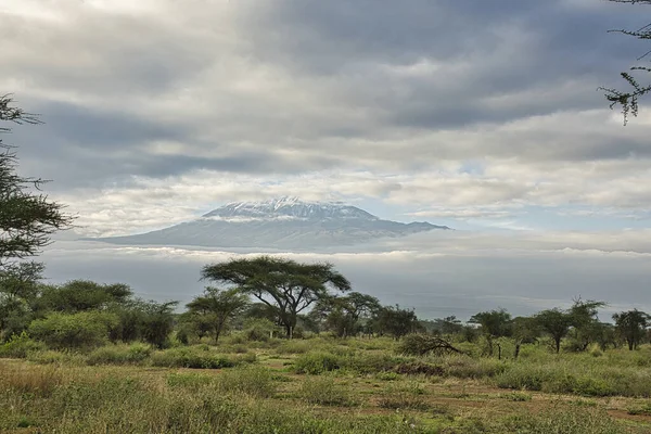 Landskapsbilder Från Nationalparken Tsavo East Tsavo West Och Amboseli — Stockfoto
