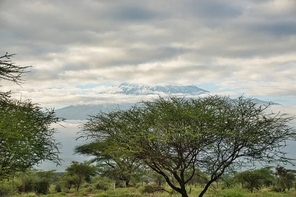 Landscape Pictures National Park Tsavo East Tsavo West Amboseli — Stock Photo, Image