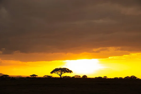 Krajobrazy Parku Narodowego Tsavo East Tsavo West Amboseli — Zdjęcie stockowe