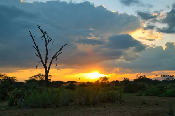 Paesaggio Dal Parco Nazionale Tsavo Est Tsavo Ovest Amboseli — Foto Stock