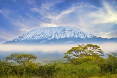 Kenya 'daki kar kaplı Kilimanjaro' dan resimler