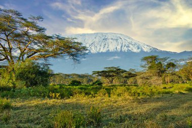 Kenya 'daki kar kaplı Kilimanjaro' dan resimler