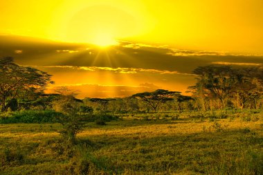 Kenya 'daki Tsavo Doğu ve Tsavo Batı Ulusal Parkı' nda gün batımı ve gündoğumu