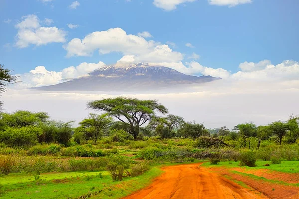 Fotky Zasněženého Kilimandžára Keni — Stock fotografie
