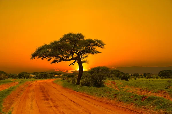 Pôr Sol Nascer Sol Tsavo East Tsavo West National Park — Fotografia de Stock