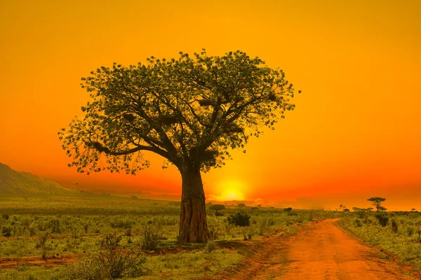 Západ Slunce Východ Slunce Tsavo East Tsavo West National Park — Stock fotografie