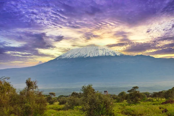 Fotos Del Nevado Kilimanjaro Kenia — Foto de Stock