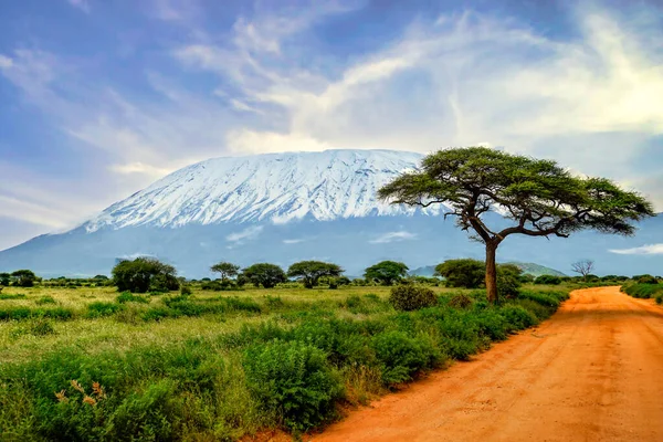 Fotos Kilimanjaro Coberto Neve Quênia — Fotografia de Stock