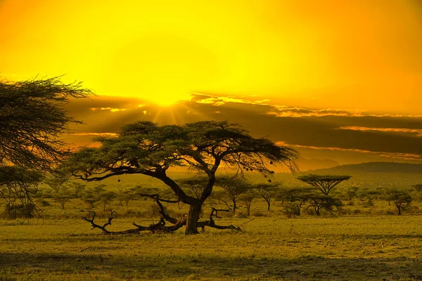 Sonnenuntergang Und Sonnenaufgang Tsavo East Und Tsavo West Nationalpark Kenia — Stockfoto