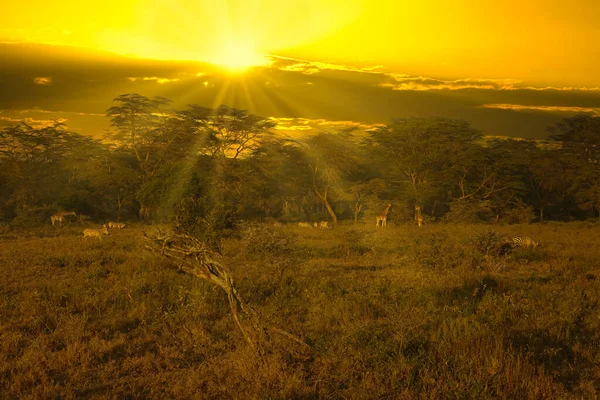 Západ Slunce Východ Slunce Tsavo East Tsavo West National Park — Stock fotografie