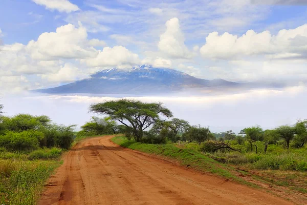 Fotky Zasněženého Kilimandžára Keni — Stock fotografie