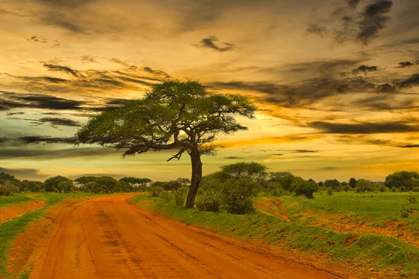 Zachód Wschód Słońca Tsavo East Tsavo West National Park Kenii — Zdjęcie stockowe