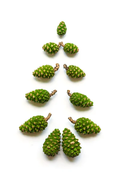 Árvore de Natal feita de cones de abeto . Imagem De Stock