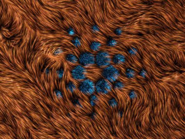 Cardano Kripto Saç Tüylü Soyut Modern 3D Görüntü