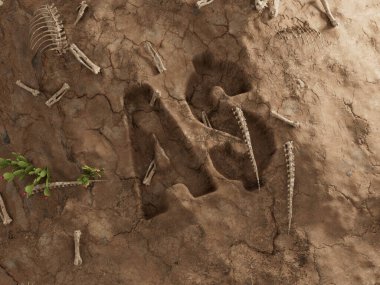 Avustralya Doları Zemin Deliği Kuru Fosil Ölü Kazısı 3D Görüntü