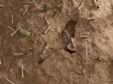 Kusama Kripto Kuş Zemin Deliği Kuru Fosil Ölü Kazı 3D Görüntü