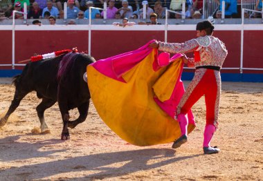 Boğa güreşindeki performansı sırasında bir İspanyol boğa güreşçisi