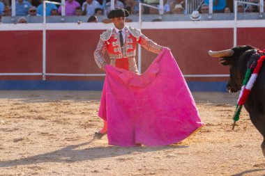 Boğa güreşindeki performansı sırasında bir İspanyol boğa güreşçisi