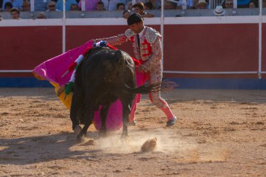 Boğa güreşindeki performansı sırasında bir İspanyol boğa güreşçisi