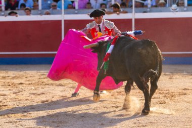 Boğa güreşindeki performansı sırasında bir İspanyol boğa güreşçisi